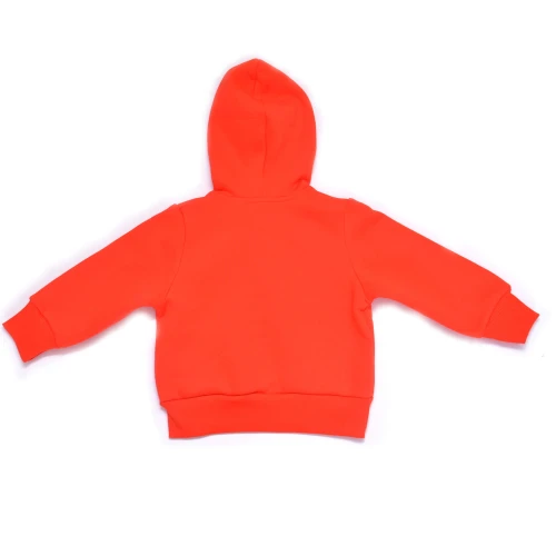 fiesta z kapturem 2.jpg