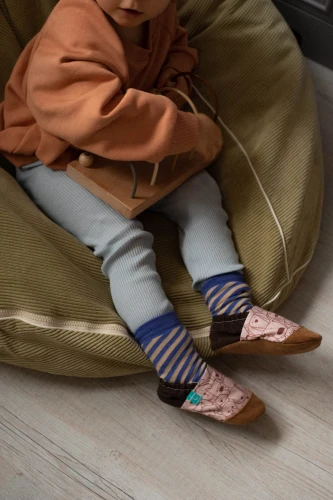 brown doggy purple stripe.jpeg