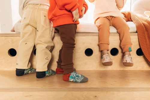 racoon forest space.jpg