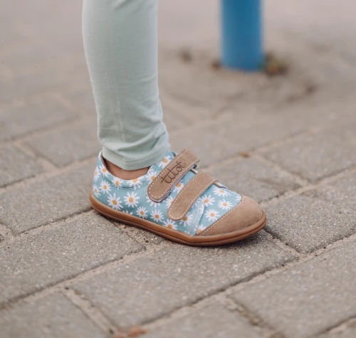 blue daisy 2.jpg